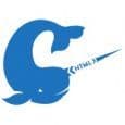 Web Narwhal