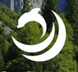 Conscious Web Design