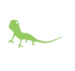Visual Lizard